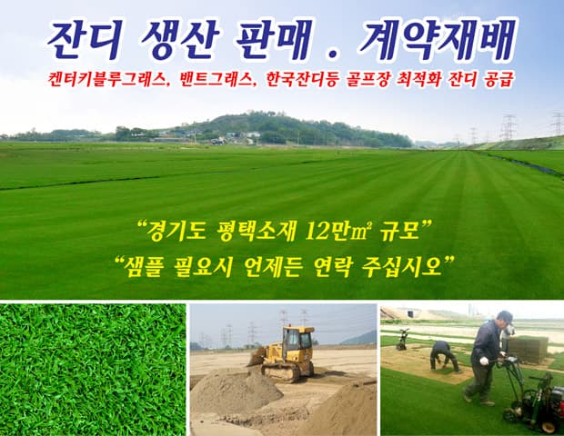 잔디농장
