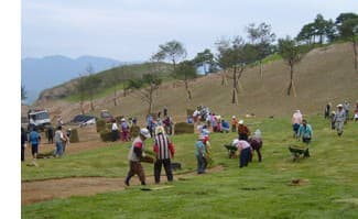 잔디식재 공사 4