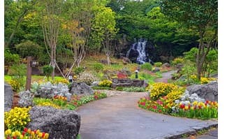조경 공사 2