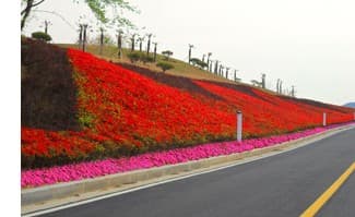 조경 공사 4
