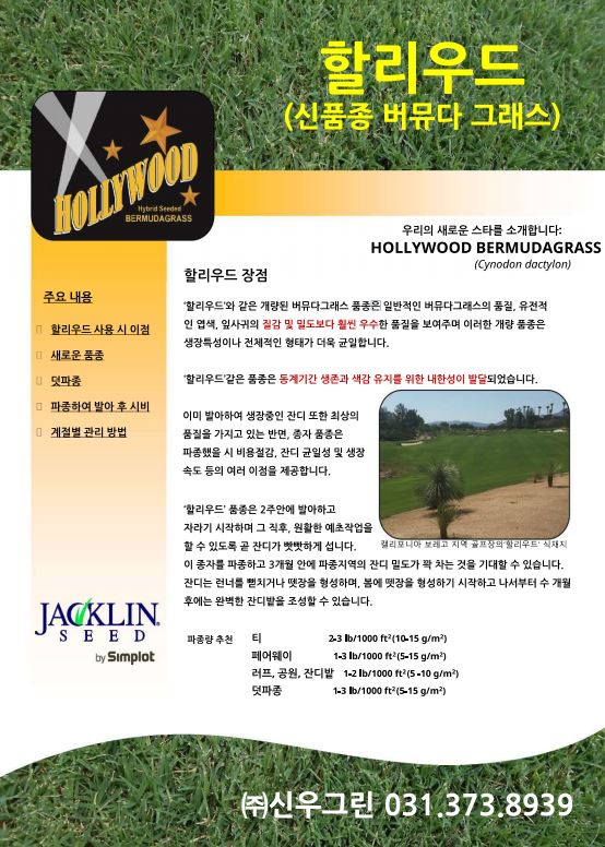 할리우드