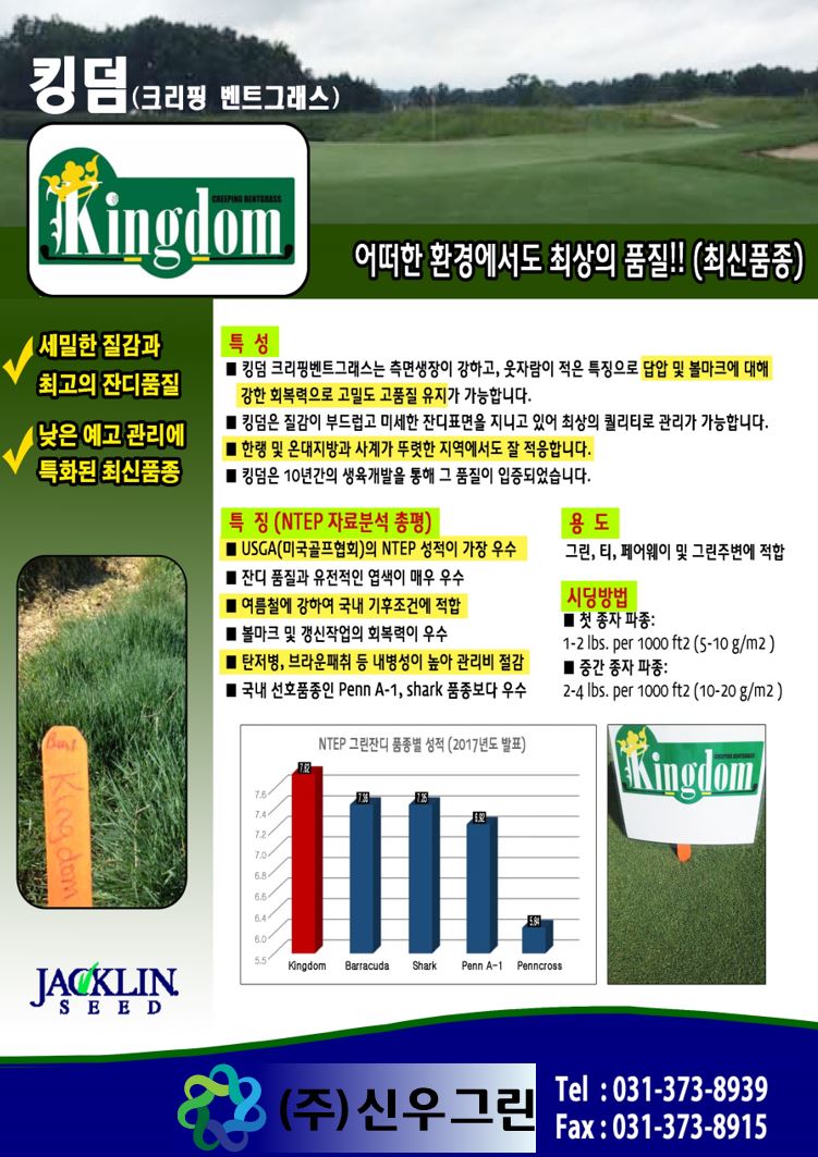 킹덤