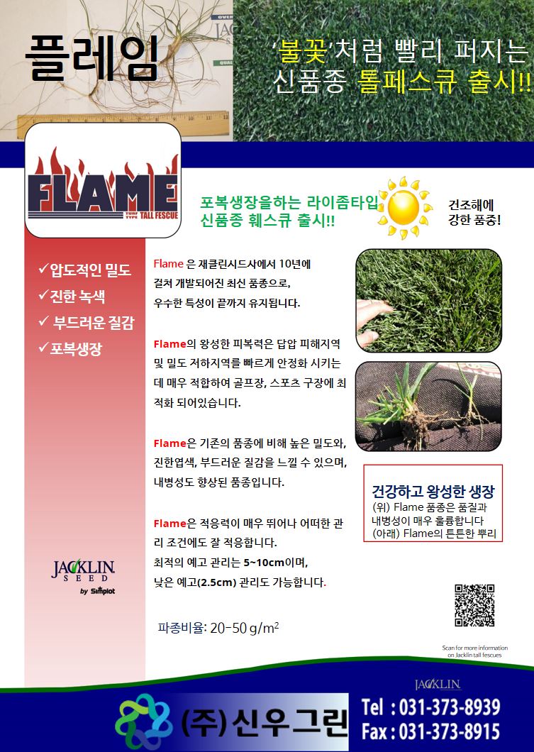 플레임