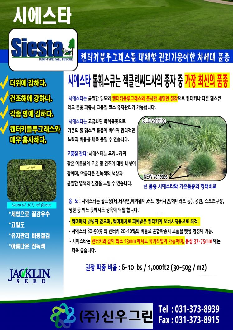 시에스타