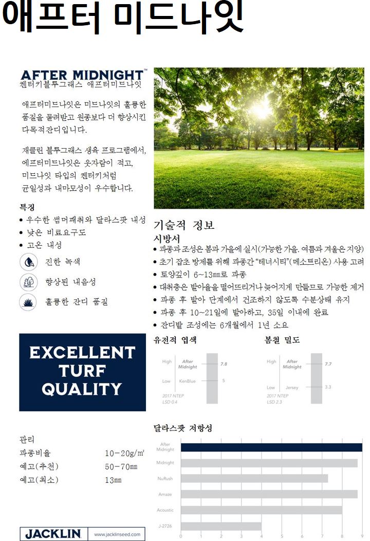 애프터미드나잇