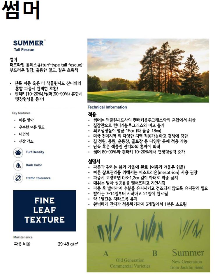 썸머
