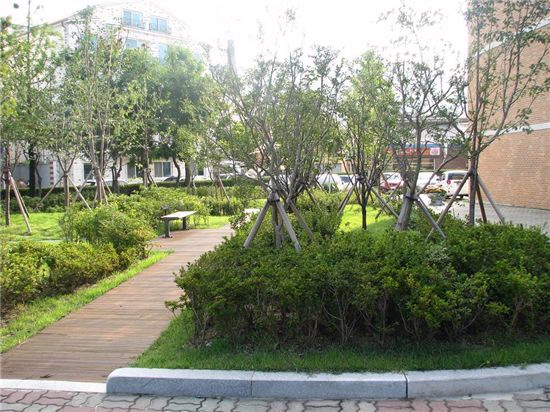 학교숲(구갈중학교) 조성공사
