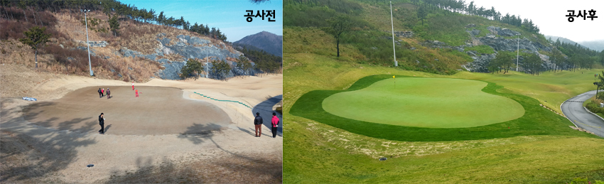 디오션CC